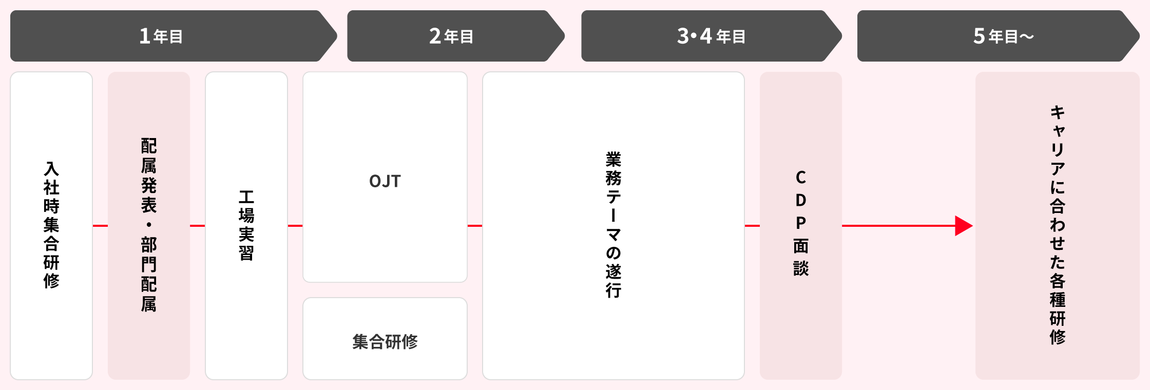 1年目：入社時集合研修、配属発表、部門配属、工場実習。2年目：OJT、集合研修。3・4年目：業務テーマの遂行、CDP面談。5年目〜：キャリアに合わせた各種研修