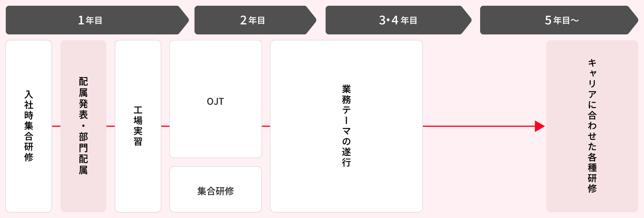 1年目:入社時集合研修、配属発表、部門配属、工場実習。2年目:OJT、集合研修。3・4年目:業務テーマの遂行。5年目〜:キャリアに合わせた各種研修