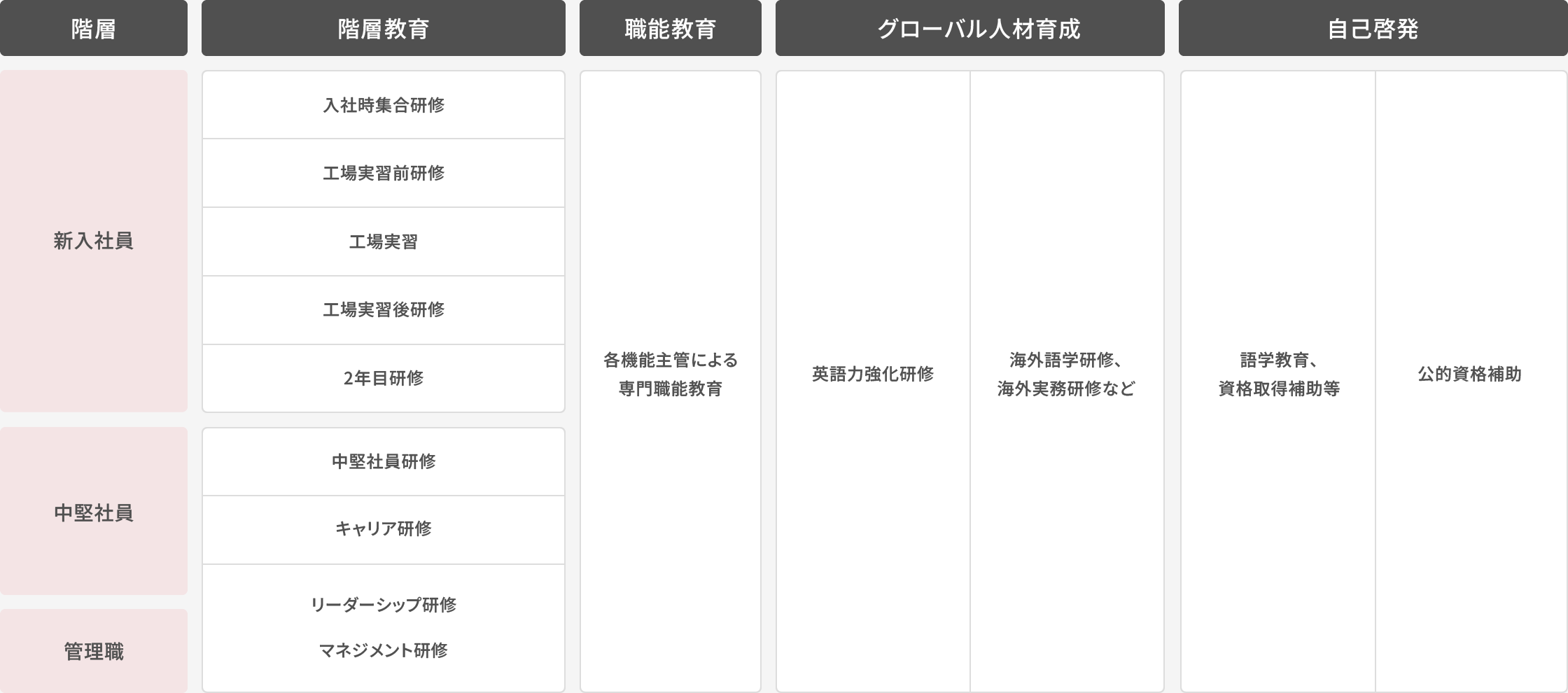 社員教育体系を示す表。新人社員は入社時集合研修、工場実習前研修、工場実習、実習後研修、2年目研修。中堅社員は中堅社員研修、キャリア研修。管理職はリーダーシップ研修、マネジメント研修。職能教育として各機能主管による専門職能教育。グローバル人材育成として英語力強化研修、海外語学研修、海外実務研修など。自己啓発として語学教育や資格取得補助、公的資格補助がある。