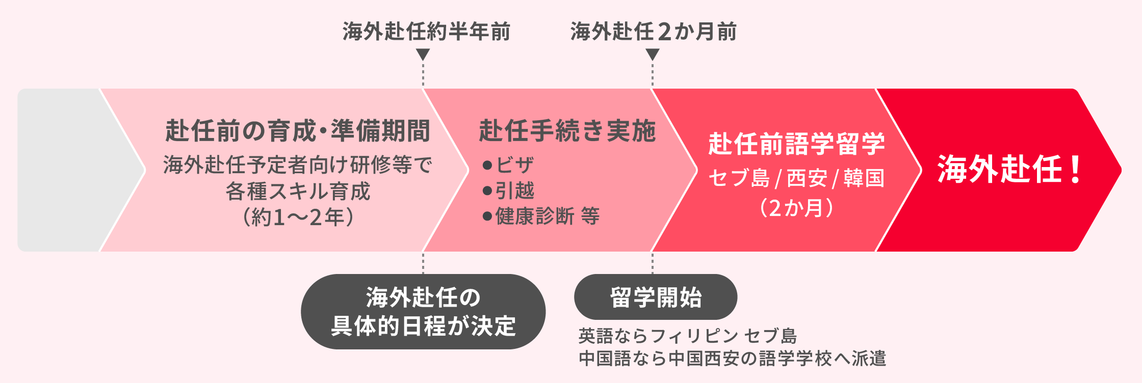 海外赴任までの流れを示す図。赴任約1〜2年前から育成・準備期間、半年前に赴任日程決定、2か月前にビザ・引越・健康診断などの手続き、語学留学(英語ならフィリピン セブ島、中国語なら中国西安の語学学校)を経て海外赴任開始。